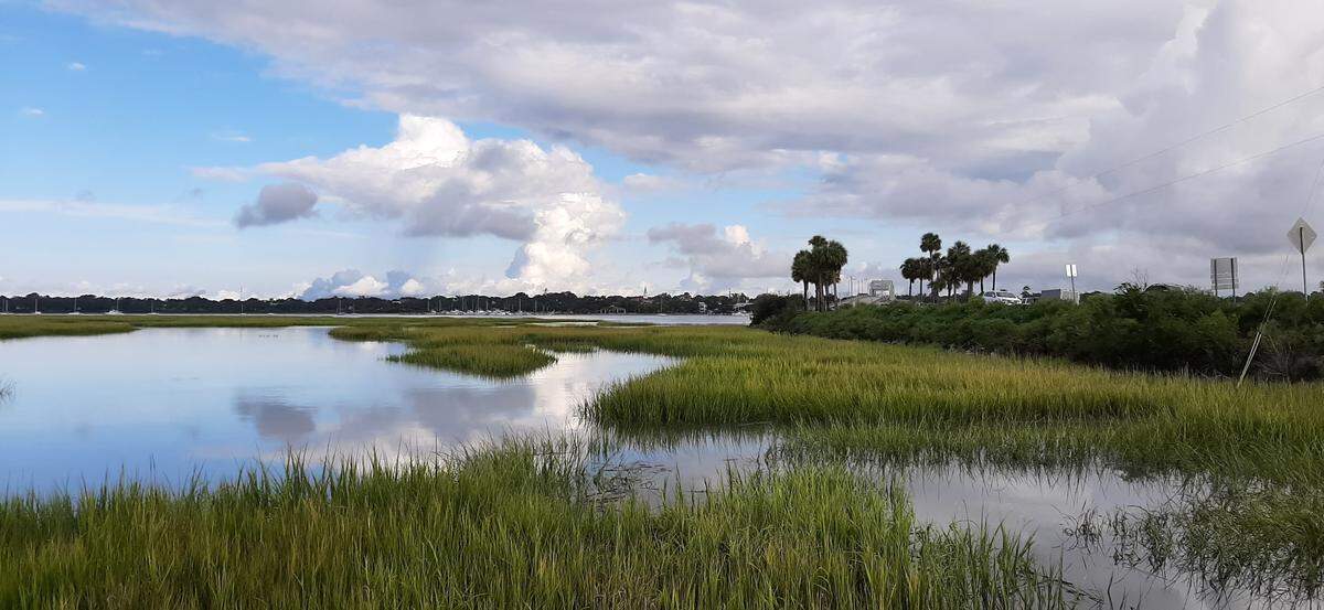 The view from Whitehall Park on Lady’s Island offers views of Beaufort’s waterfront and Woods Memorial Bridge.