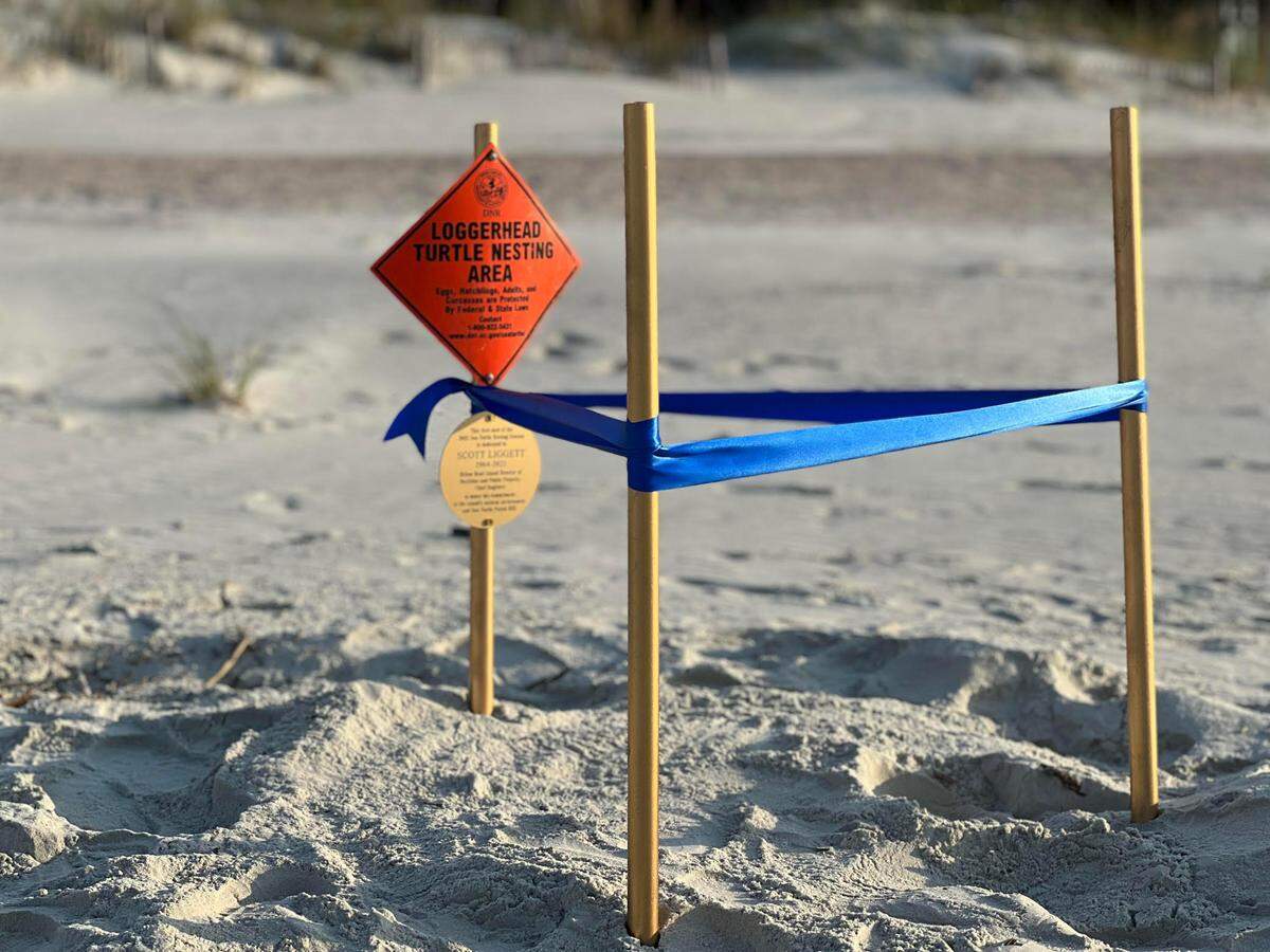 The first sea turtle nest of Hilton Head Island’s 2022 season shown Thursday, May 5, 2022, on the Sea Pines beach. The gold plaque commemorates the late Scott Liggett, who worked director of public projects and facilities for the town.&nbsp;