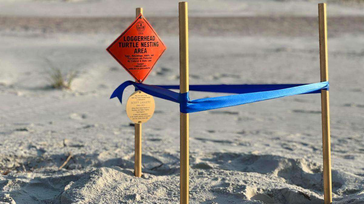 The first sea turtle nest of Hilton Head Island’s 2022 season shown Thursday, May 5, 2022, on the Sea Pines beach. The gold plaque commemorates the late Scott Liggett, who worked director of public projects and facilities for the town. 