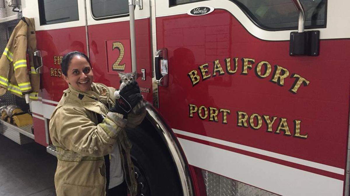 Firefigher Monica Perez holds a kitten that was rescued from a car's engine Wednesday night. The Beaufort-Port Royal Fire Department firefighters kept the kitten in their care overnight at Station No. 2 on Ribaut Road.