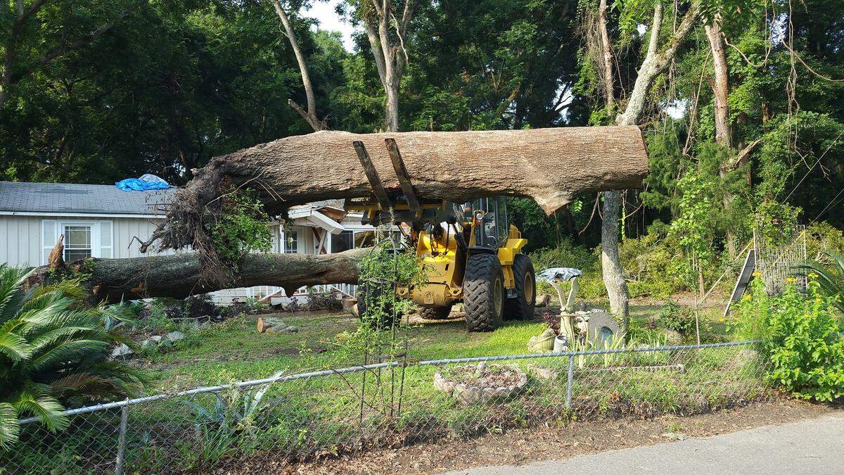 Workers remove a large oak tree that fell on a Beaufort home after a storm rolled through the area on the morning of Friday, July 3, 2015. 