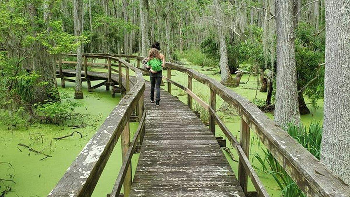 Boardwalk in Whooping Crane Pond Conservancy.
