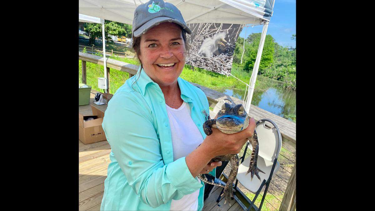 Jill Moore, a master naturalist, gives tours of Cypress Wetlands and its many wonders, which include alligators and 11 species of birds.