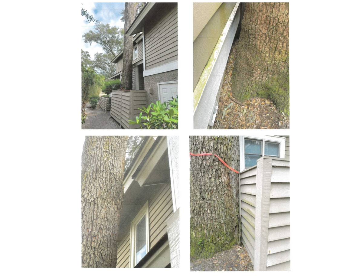 At an April 27 meeting, the Board of Zoning Appeals approved a homeowner’s request to a remove a tree that threatened to cause “catastrophic damage” to her home.