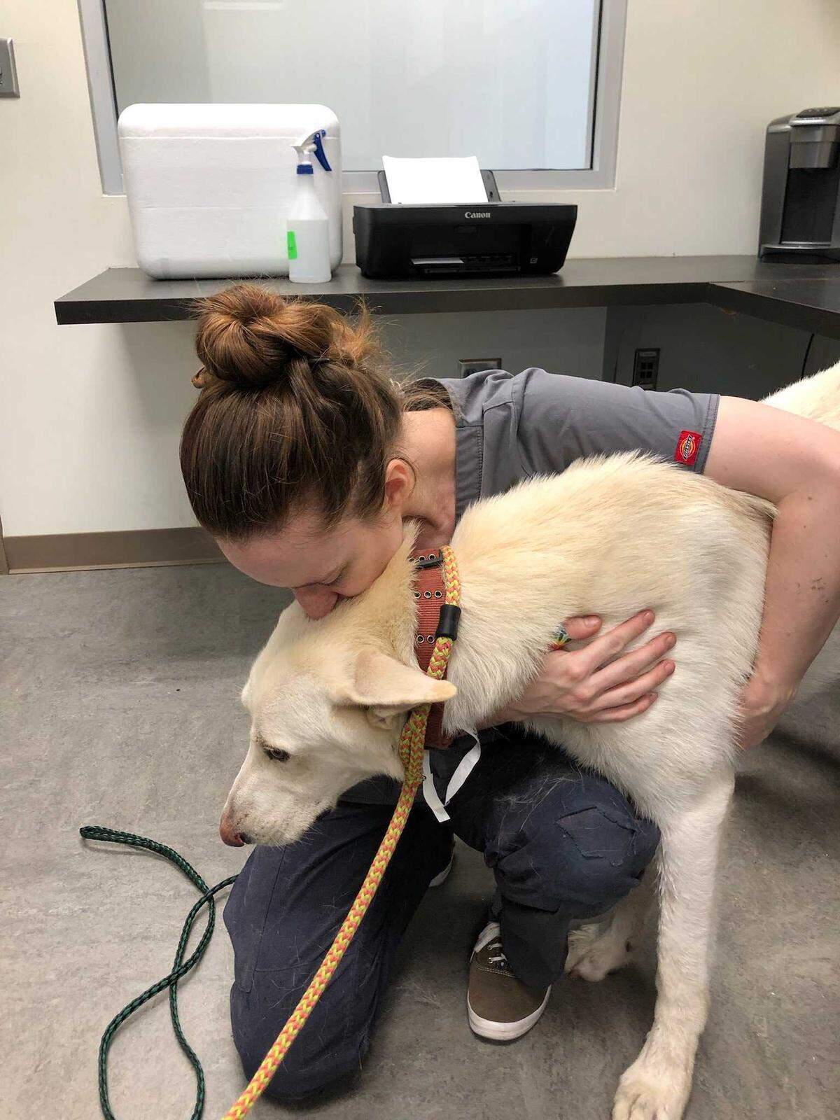 Bruno is now at Beaufort County Animal Services after a weeks-long journey around Hilton Head Island.
