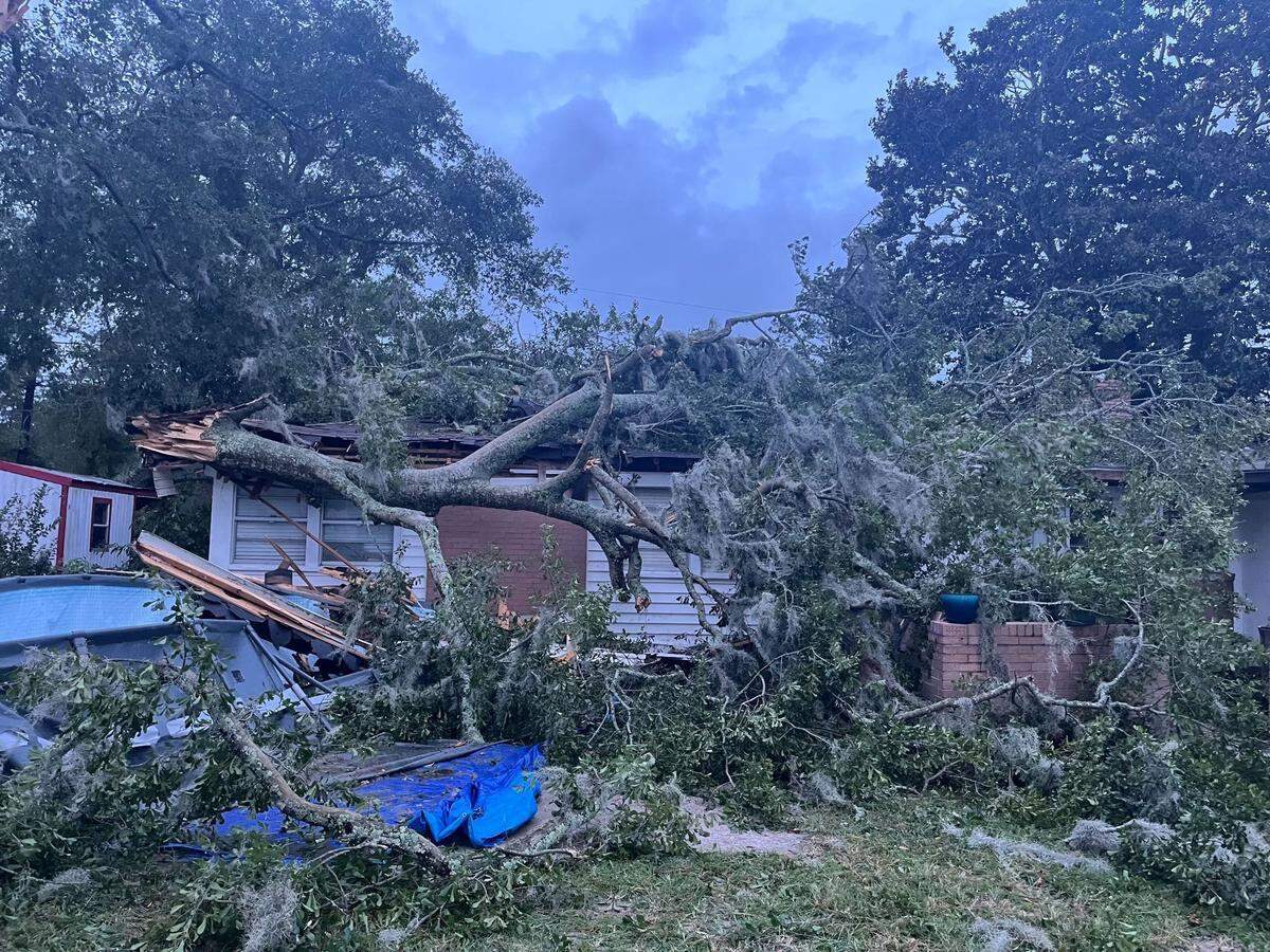 Trees were down all over Port Royal and Beaufort Friday morning in the wake of Helene, a hurricane that was downgraded to a tropical storm by the time it reached Beaufort county. This tree fell on a house in the Shell Point area of Port Royal.