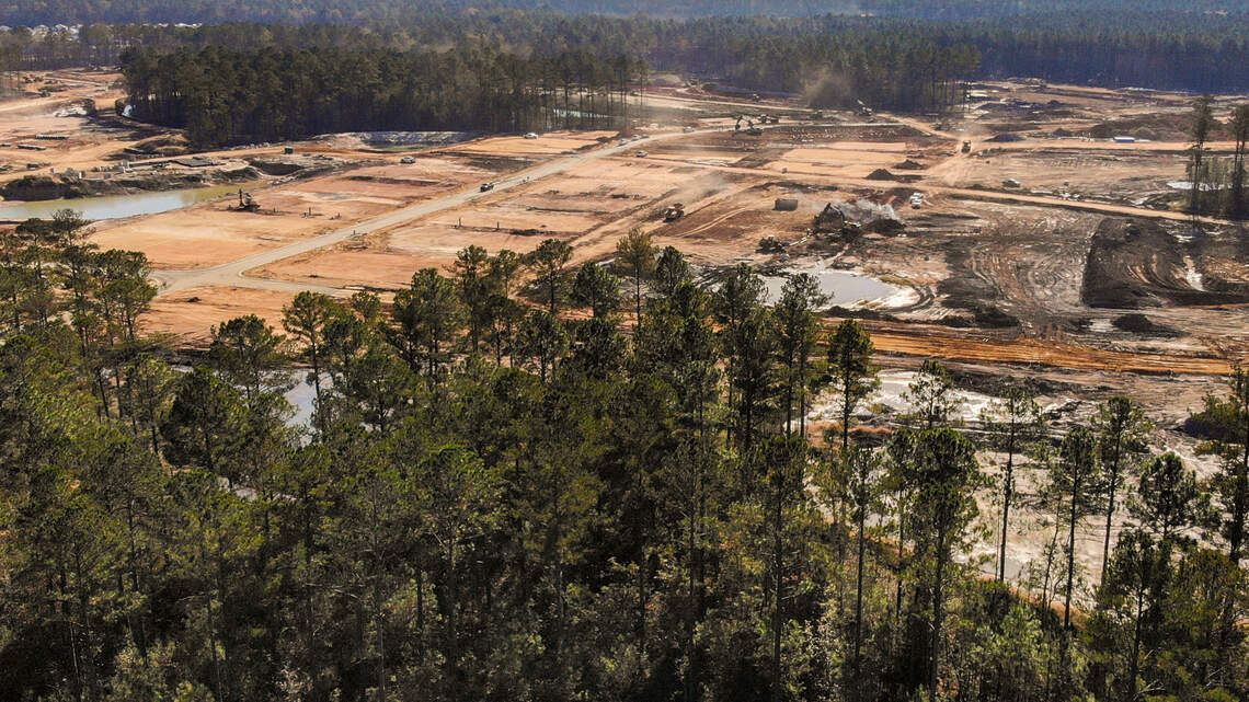 Developers slice down ‘hundreds’ of trees as Hardeeville waits on stormwater rules