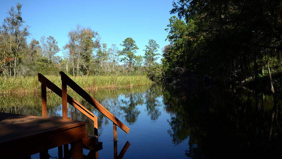 ACE Basin: A 'Last Great Place' turns 25