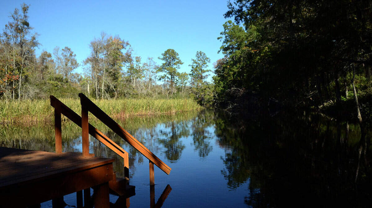 A view of Izards Creek from one of the boat docks at Old Combahee Plantation in the ACE Basin in October 2014.