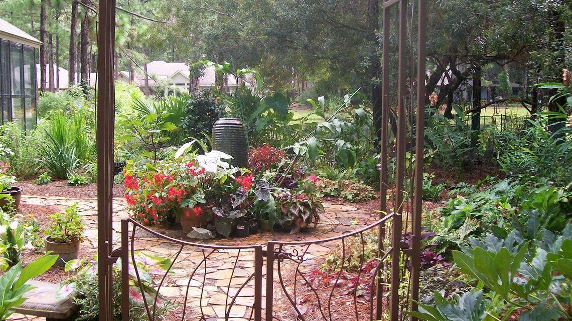 Lowcountry gardening experts share their backyard tips