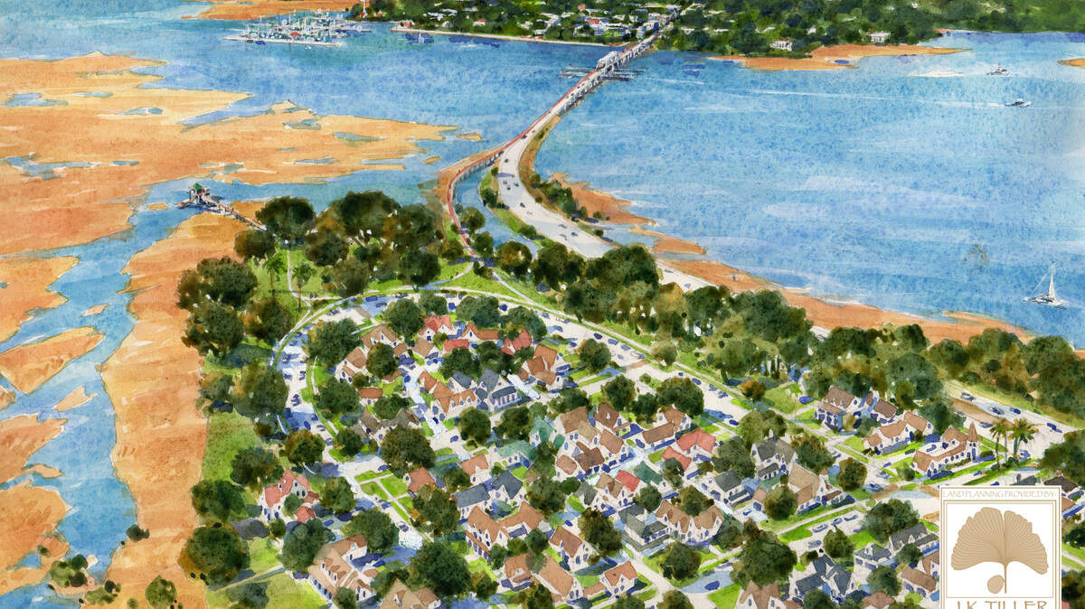 A conceptual layout of the proposed Whitehall development on Lady's Island.