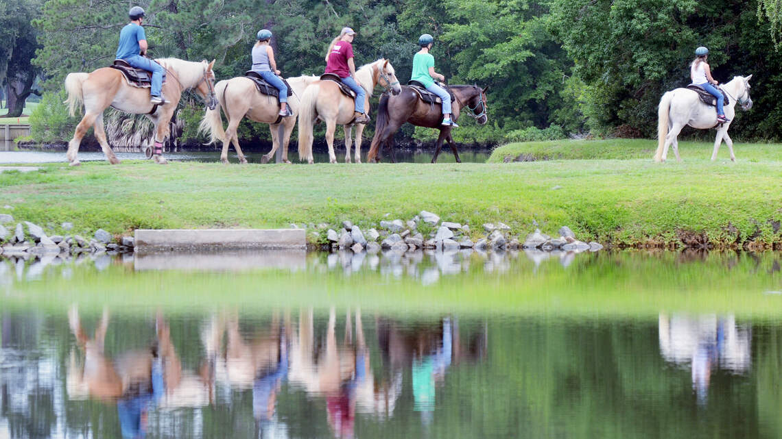 July's photo contest theme is 'reflection'