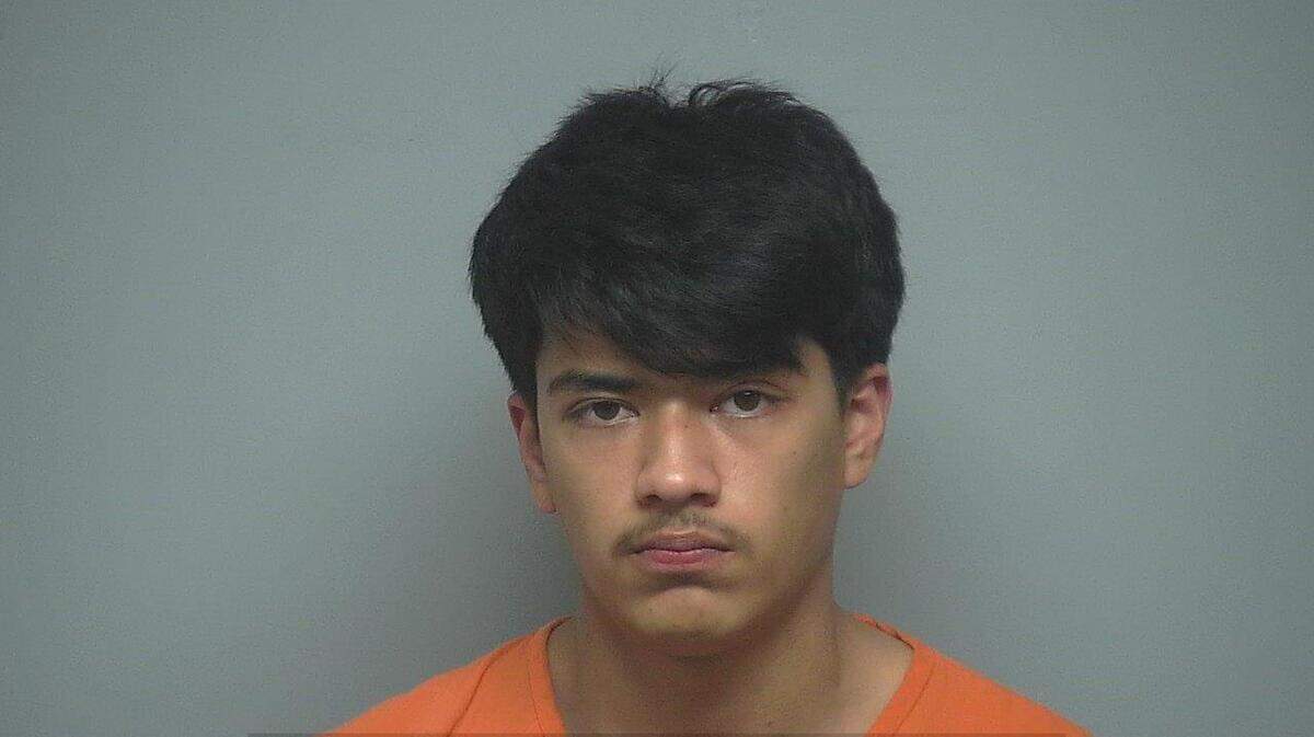 Johnathan Mendoza-Mayoral, 20, pleaded guilty to first-degree assault and battery with intent to commit criminal sexual conduct.