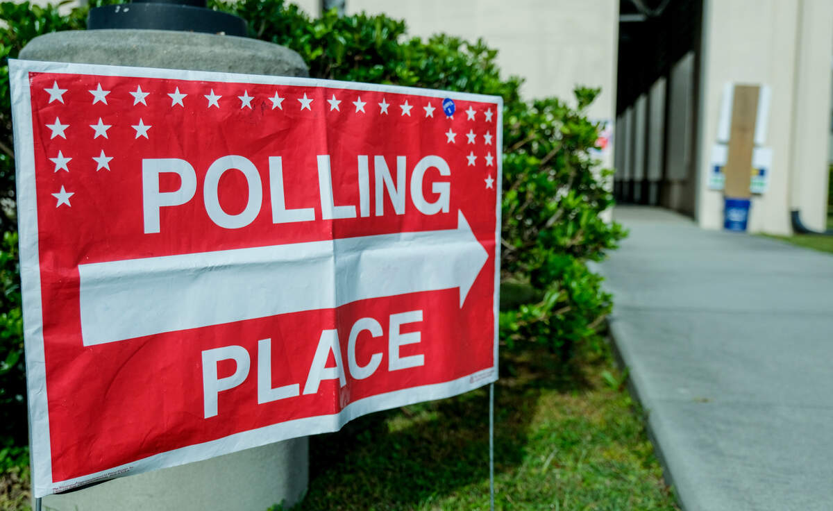 Beaufort County voters will decide races for sheriff, auditor and County Council.