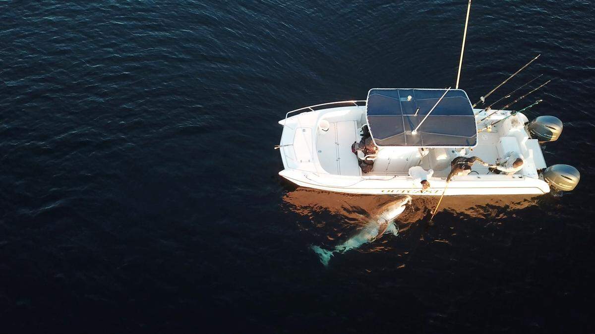 A look at Chip Michalove’s boat on Friday, Jan. 18 , 2019, off the Hilton Head coast.