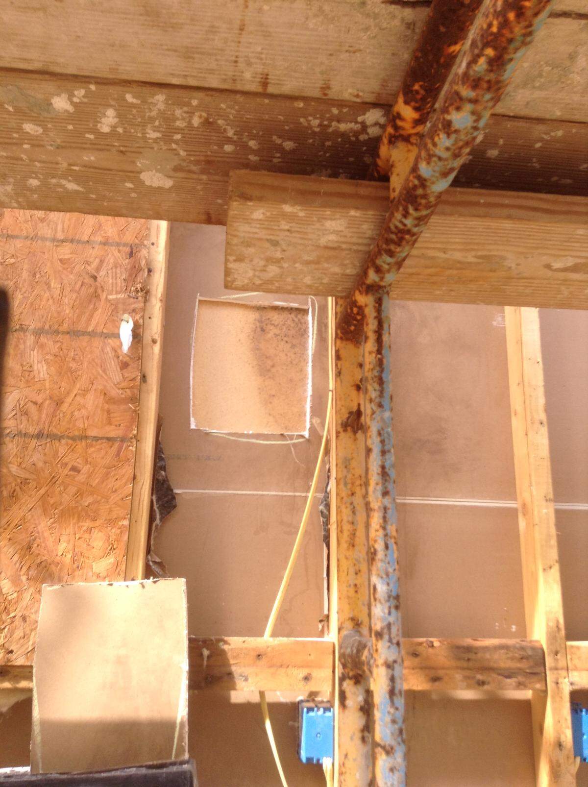 Mold resulting from water damage due to improperly applied stucco stains a wall in February on Dale Terwilliger’s Sun City Hilton Head, S.C.