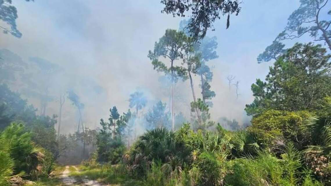 Eye-watering cloud of thick smoke drifted through Hilton Head. Where it came from