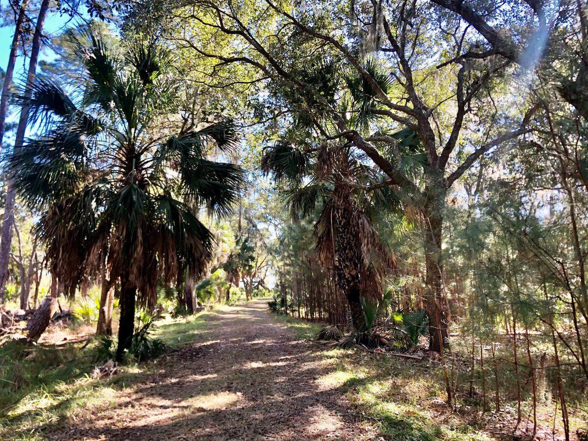 Widgeon Point in Okatie provides a place for unhindered bird watching and hikes among the trees.
