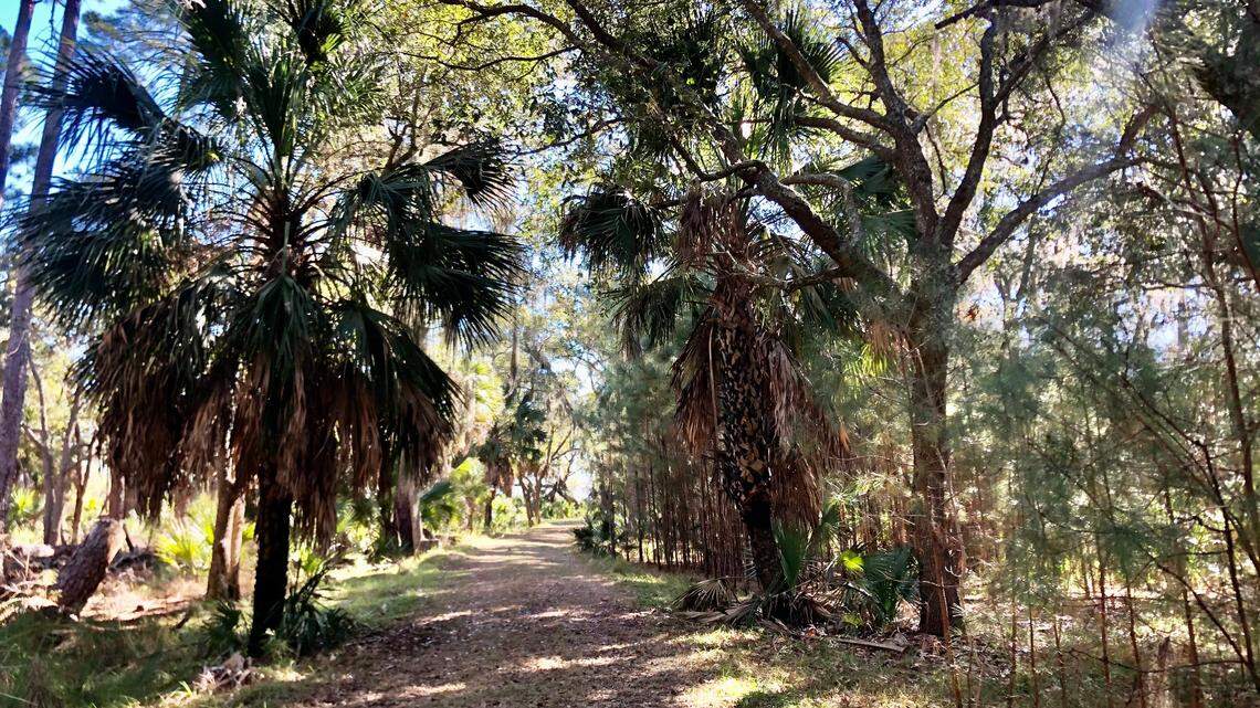 Hey, Beaufort County, land conservation is a ‘sacred’ trust. Don’t blow it this way