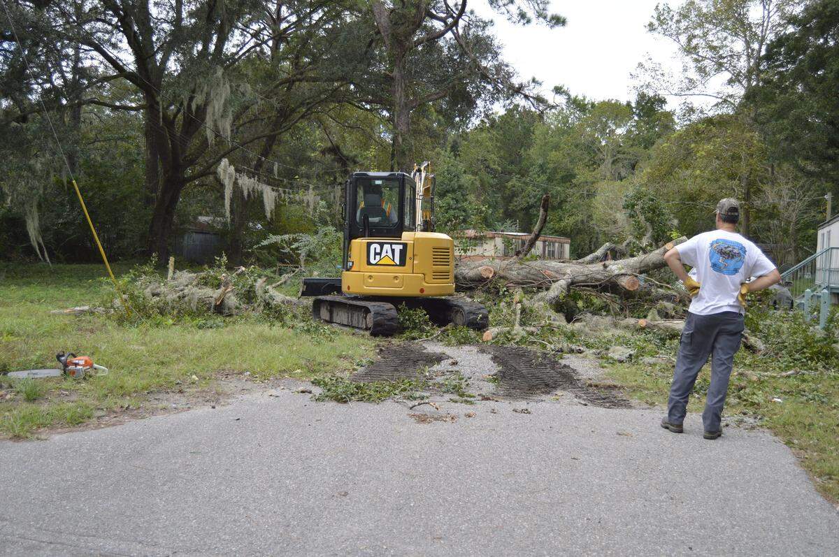 A downed tree near Horton road in Beaufort. Tropical Storm Michael brought high winds to the area on Thursday, Oct. 11, 2018.