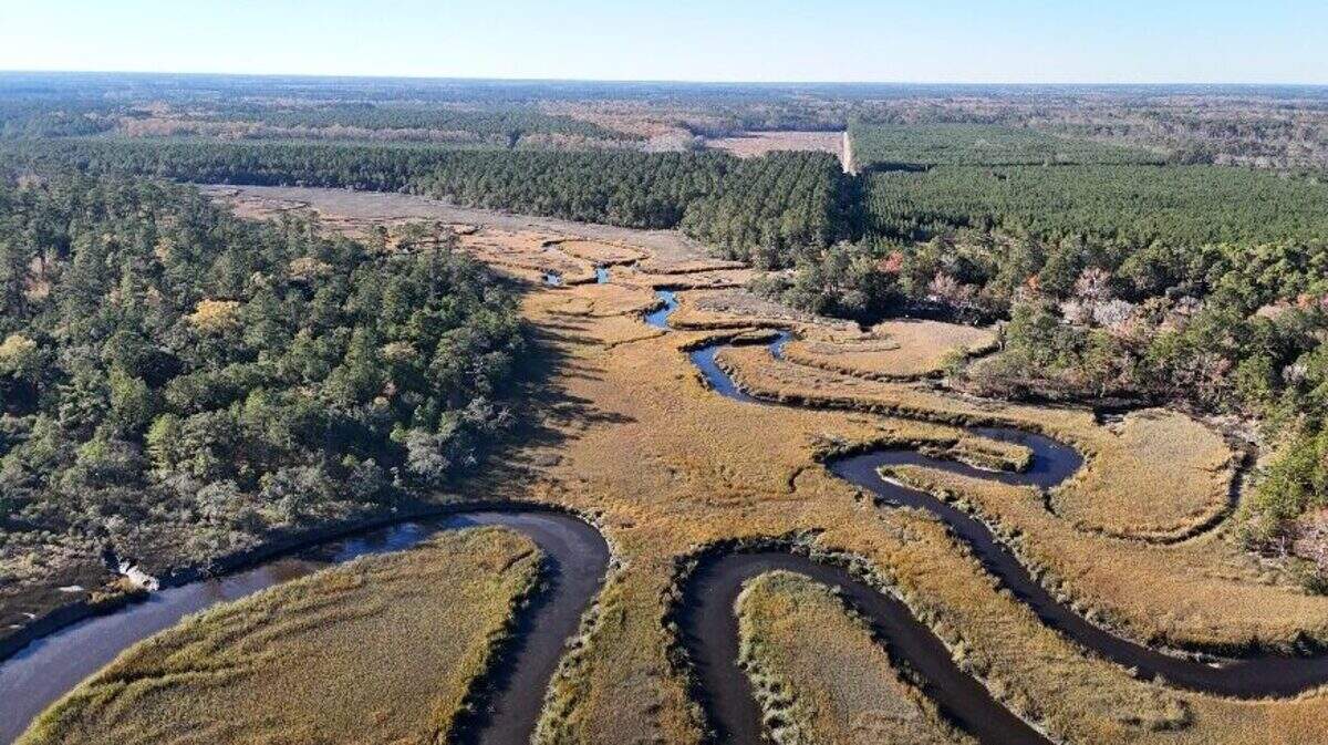 Hazzard Creek on the Chelsea property drains into the Broad River and is part of Port Royal Sound watershed.