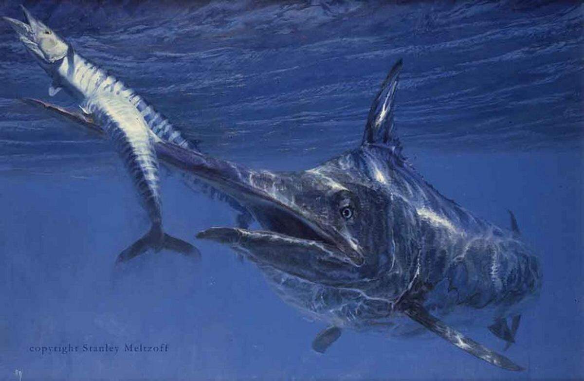 "The Great Sporting Fish," a new exhibit featuring the paintings of Stanley Meltzoff opens at The Coastal Discovery Museum, Sept. 30.