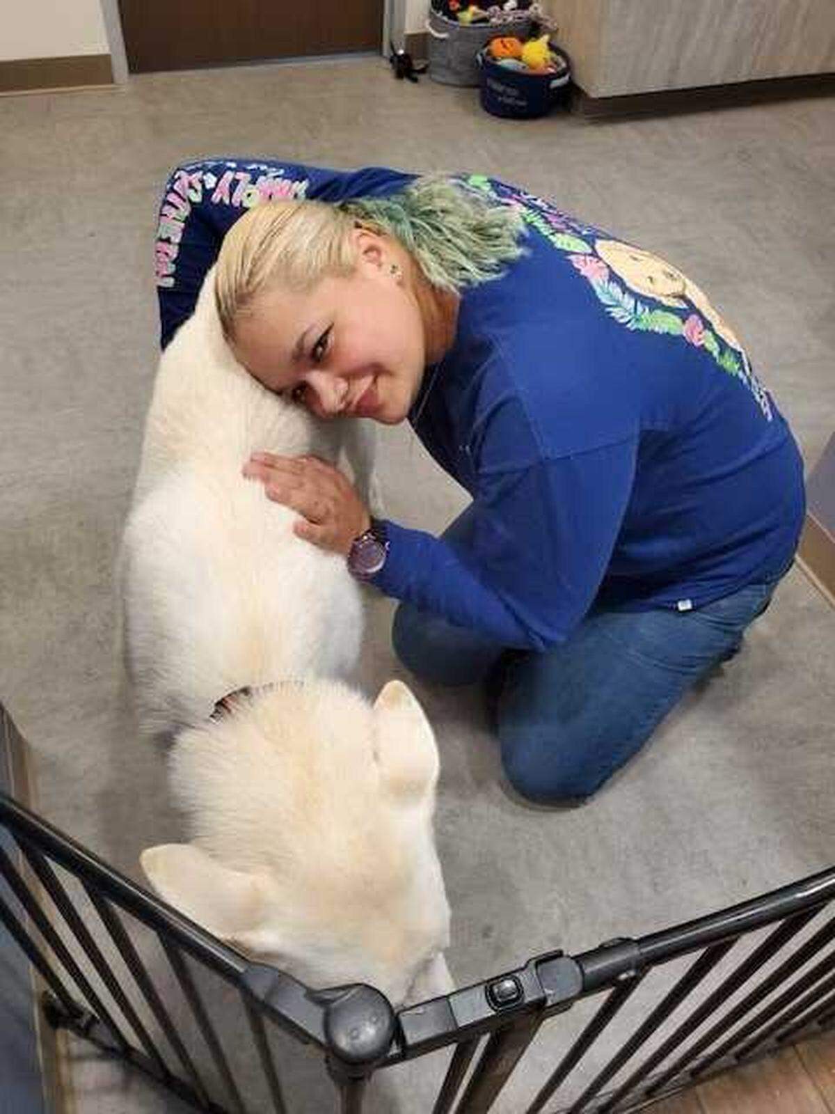 Bruno is a bit skittish but is starting to make friends at Beaufort County Animal Services.