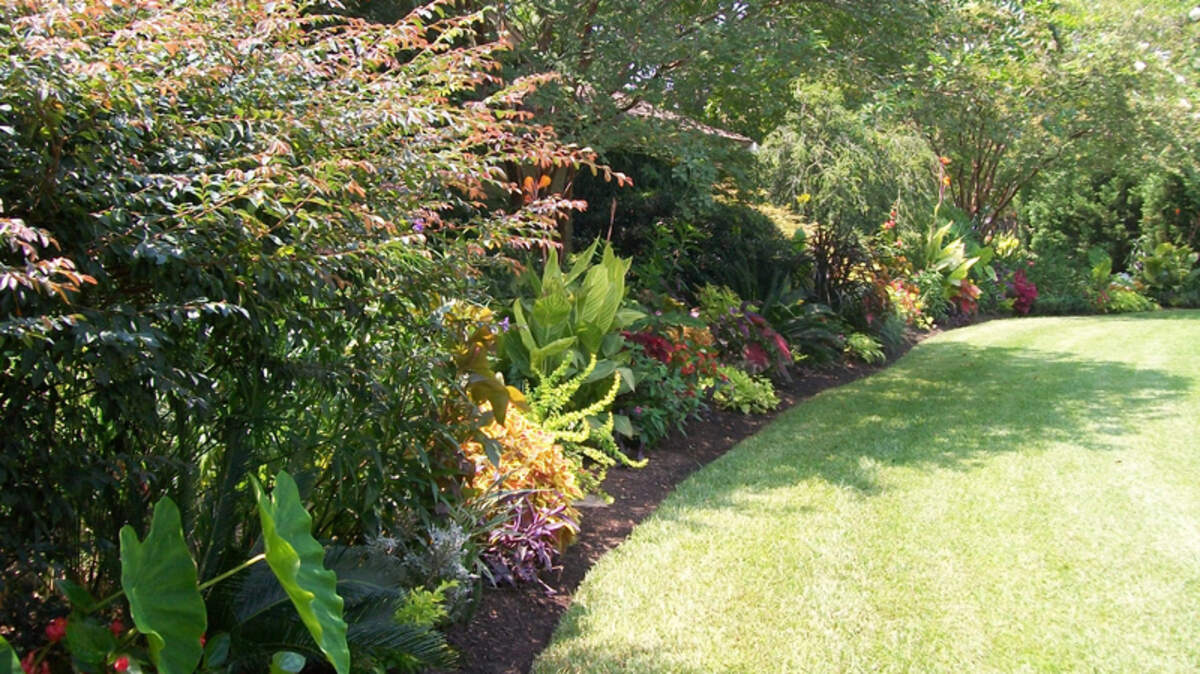 Expect color and drama in Tim Drake's garden on Hilton Head Island.