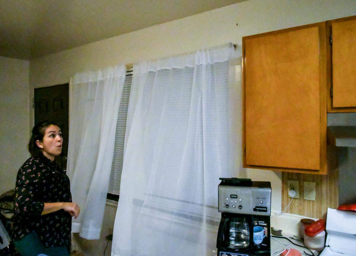 Thais Di Lazary steps back as roaches scurry up the wall from the drapes in her kitchen on the morning of Friday, Oct. 23, 2020 at Sandalwood Terrace apartments on Hilton Head Island. That morning roaches were found as each cabinet was opened, the coffee pot, inside the microwave and on the countertops. “I have to wash dishes twice. Once to put them away, another time before we eat” she said hurriedly as she was preparing to leave for work.