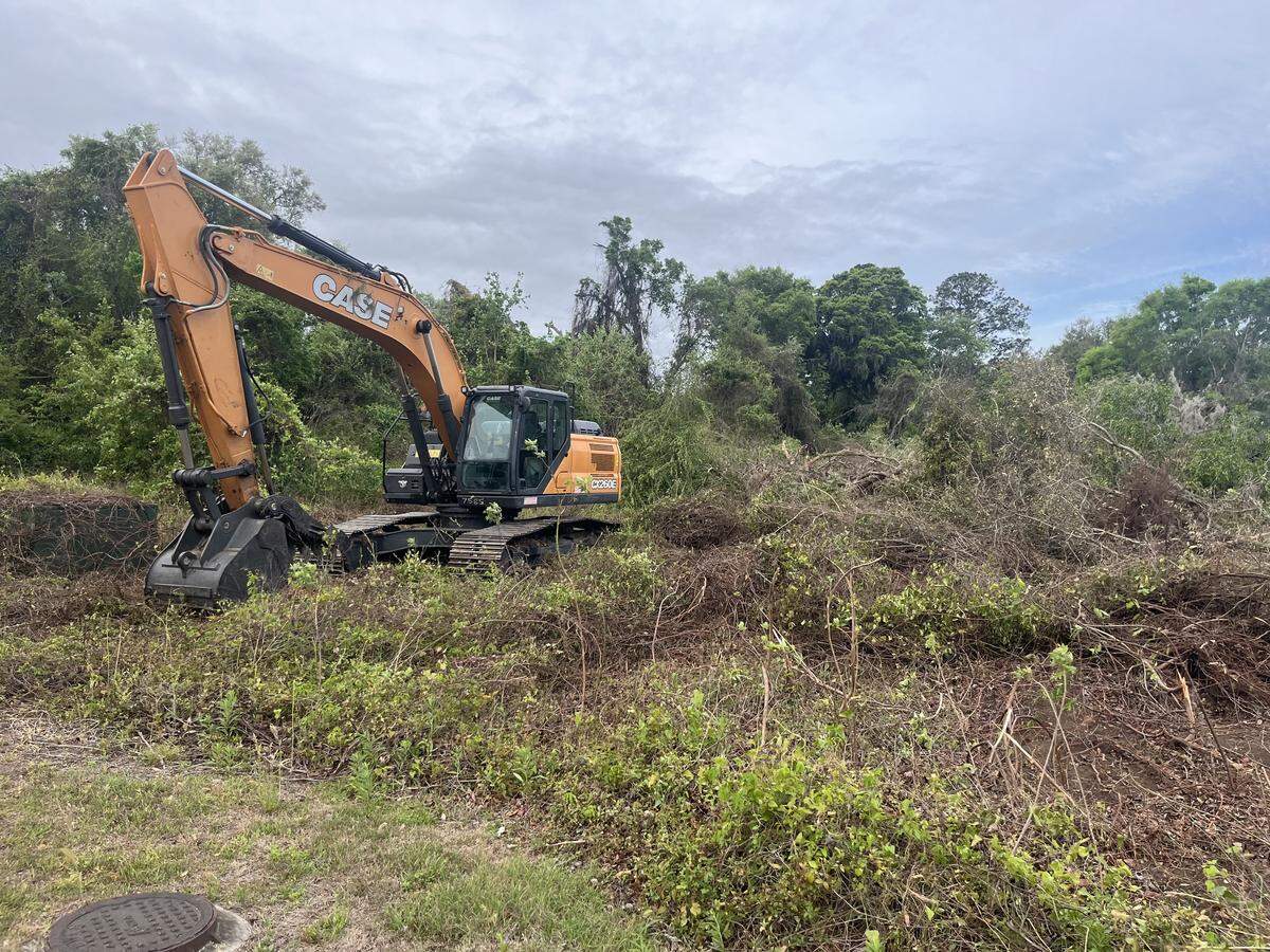 Brush and trees are cleared from a site where new townhouses are under construction in Port Royal.