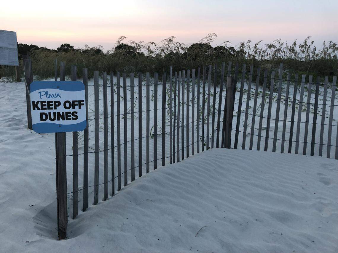 Fences help keep the dune system in place near Burkes Beach on Hilton Head Island on August 13, 2018. Over 37,000 feet of fencing was installed after Hurricane Matthew hit the island in 2016.