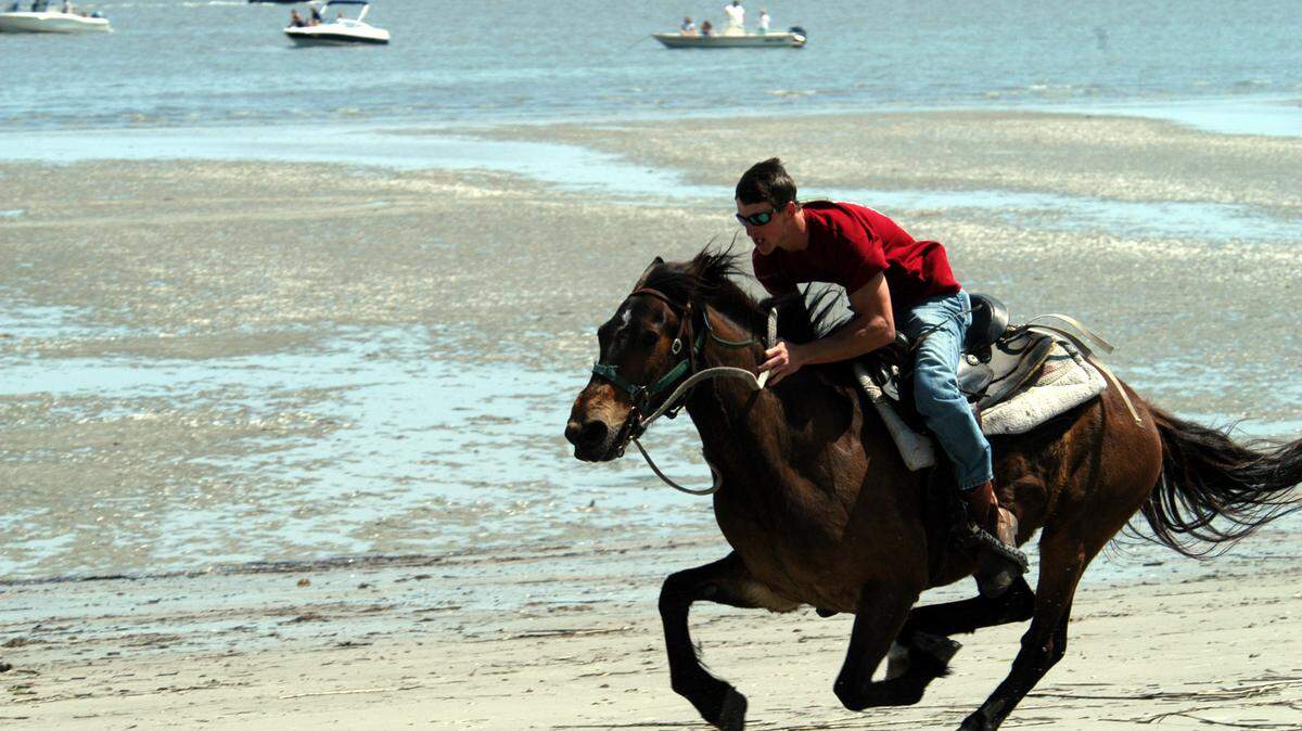 A marsh tacky horse and rider compete in the May 2013 races on Daufuskie Island.