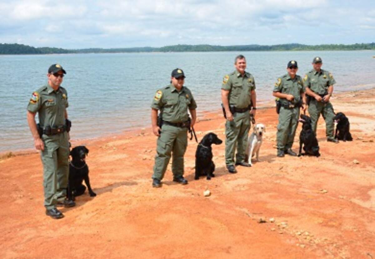 The S.C. DNR Canine Team, including its supervisor Capt. Gentry Thames of Ridgeland (center), after eight weeks of training concluded in June 2017. Thames’ yellow lab, Rio, will remain part of the team when Thames retires this summer, the agency said.