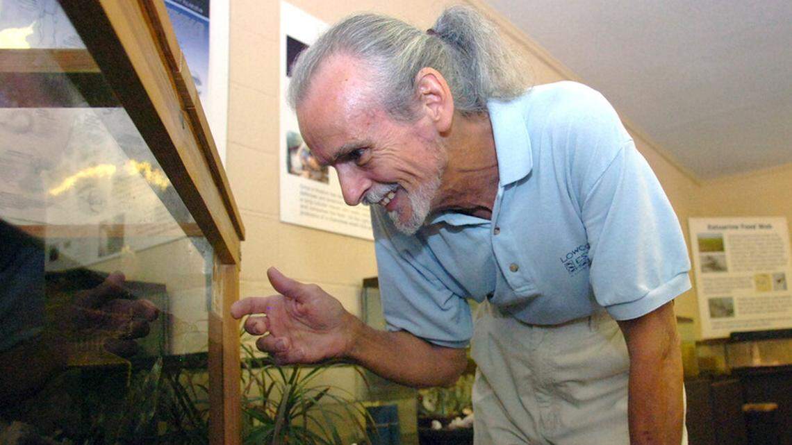 Curator Bob Bender peers into an aquarium as two diamondback terrapins follow his fingers through the glass Friday afternoon at the Lowcountry Estuarium in Port Royal.