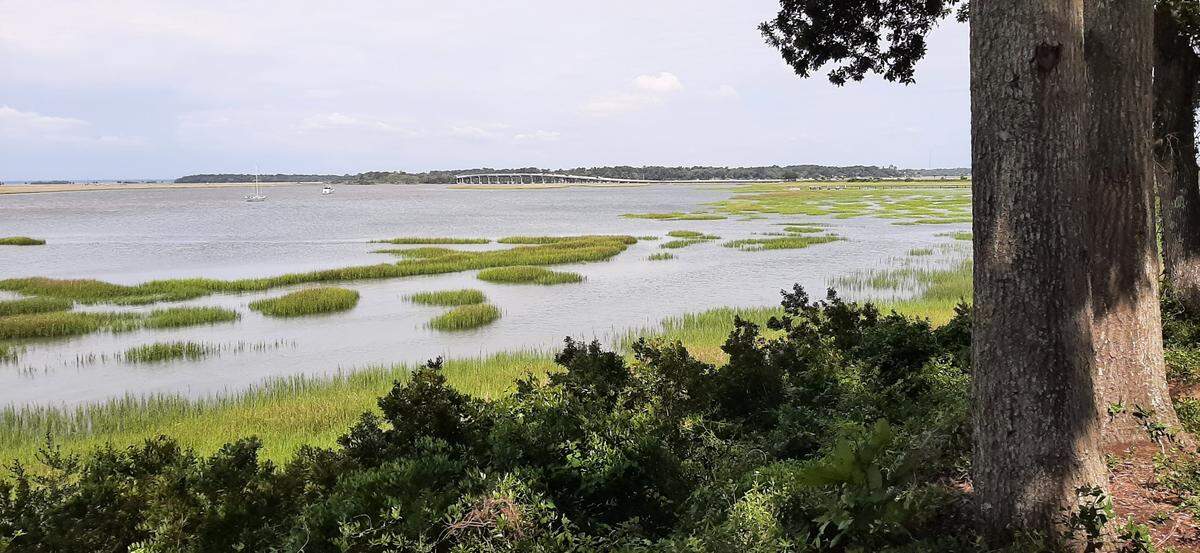 Owners of some of the homes planned in The Bluff neighborhood, planned as part of the Port of Port Royal development, would have views like this.