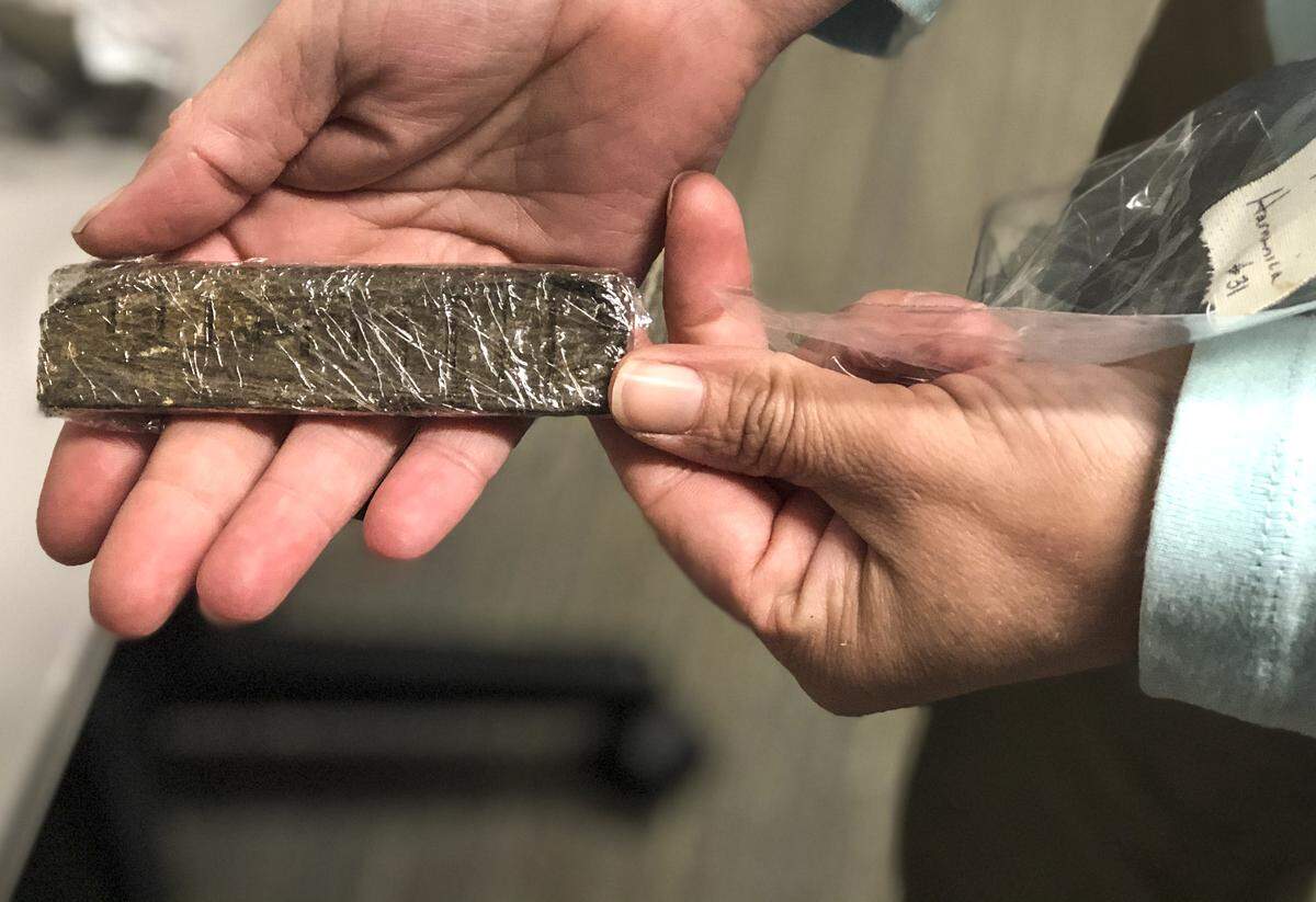 Heyward House Curator Katie Epps holds a 19th Century harmonica discovered on the Wright Family Park Property.