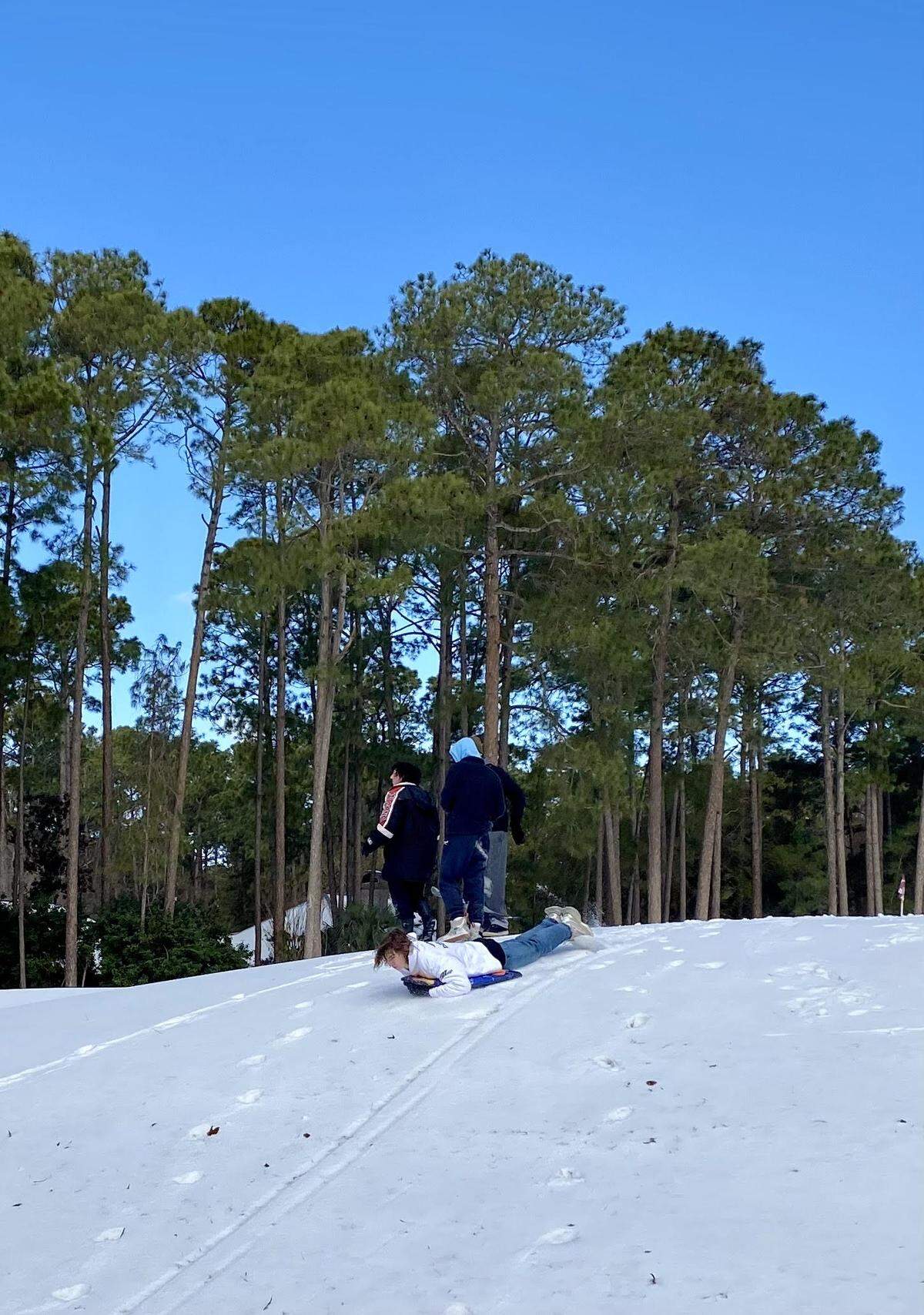 Kids headed out to sled on Hilton Head’s Oyster Reef Gulf Course