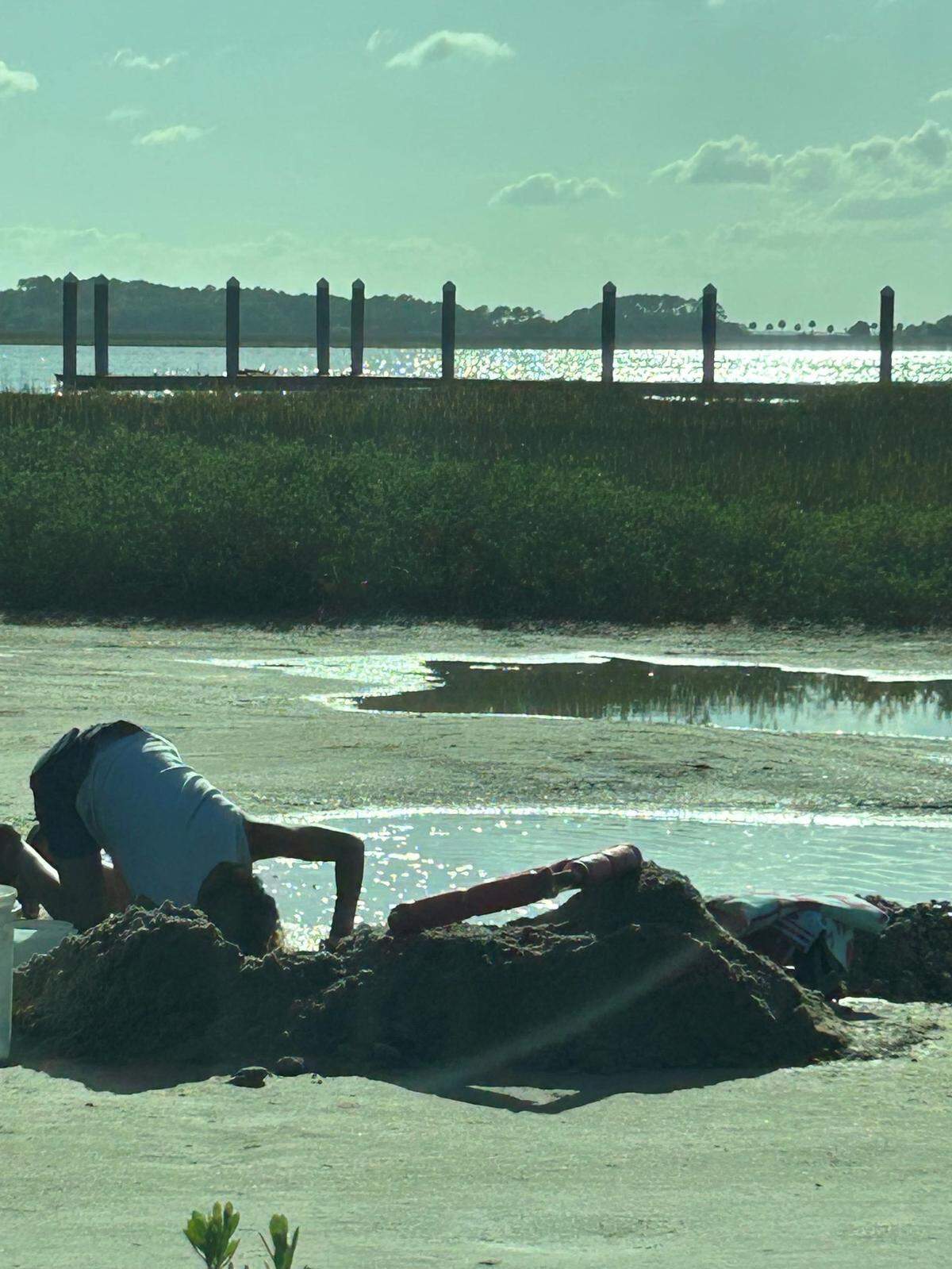 A trend of adults using metal shovels and digging large holes to search for shark’s teeth at Sands Beach in Port Royal has prompted an ordinance regulating the size of holes and the type of tools that can be used.