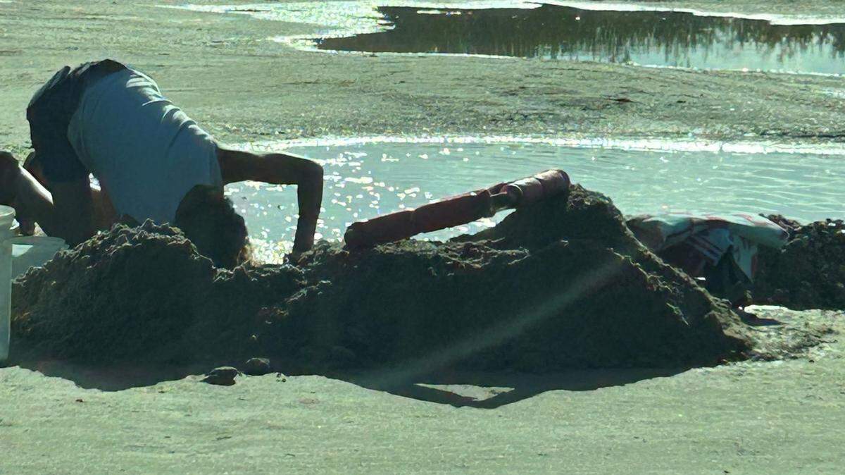 A trend of adults using metal shovels and digging large holes to search for shark’s teeth at Sands Beach in Port Royal has prompted an ordinance regulating the size of holes and the type of tools that can be used.