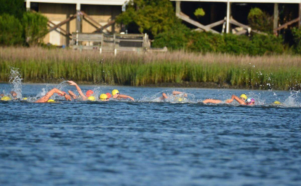 The 3.2-mile Beaufort River Swim attracted 90 competitors this year.
