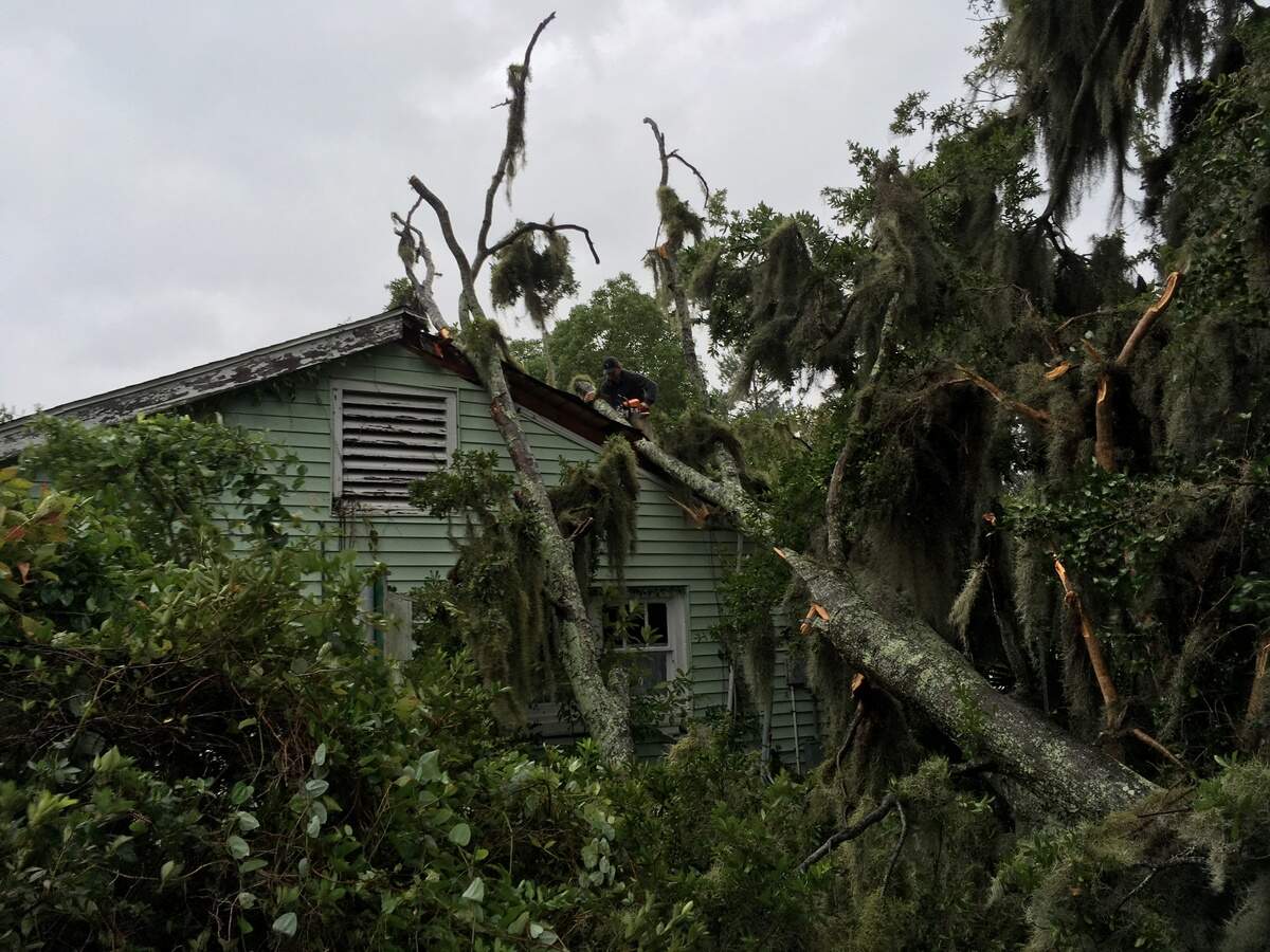 A man works to cut up a tree that fell on a house on Heyward Street in Beaufort during the effects from Hurricane Dorian.