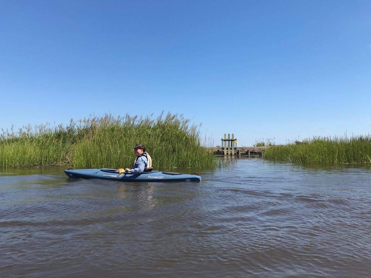 Lowcountry inventiveness: Kayaker Scott Hansen of Seabrook paddles past a “trunk gate” marking a place in the artificial embankment of a flooded field along the Combahee River. Water sluice gates such as these are found all along the waterways of the Lowcountry and date back to a time when riverbanks were cultivated for rice, a once profitable plantation crop. Today, fields such as these are flooded and used for waterfowl.