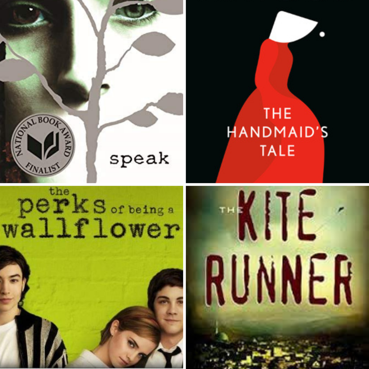 Review committees will determine whether “The Handmaid’s Tale,” “The Perks of Being a Wallflower,” “Speak” and “The Kite Runner” will be allowed in Beaufort County school libraries Dec. 1.