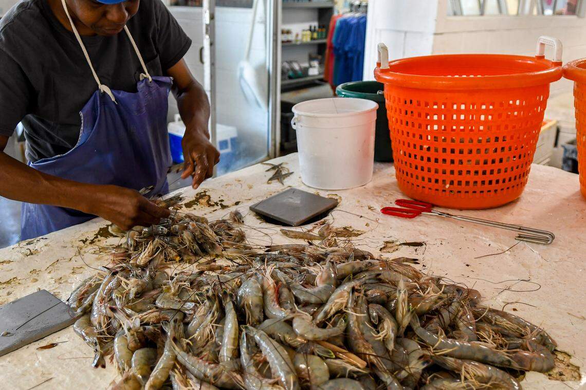 An employee heads freshly caught shrimp at Bluffton Oyster Company at Wharf Street on June 4, 2024, in Old Town Bluffton. 