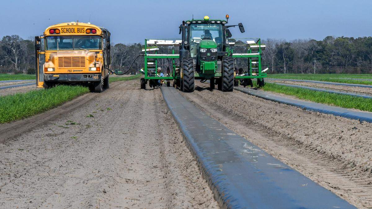 A school bus, most of its walls removed, carries a 1,500 gallon mixture of water and fertilizer and fills the tractor on the fly, much like military jets refuel in air, as photographed on Feb. 25, 2025, at Coosaw Farms on St. Helena Island.