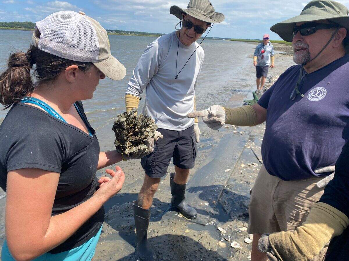 Holly Kight Sommers, a biologist with S.C. Department of Natural Resources and the head of the oyster restoration program, shows a natural grown oyster to two volunteers on Saturday, Sept. 4, 2021.