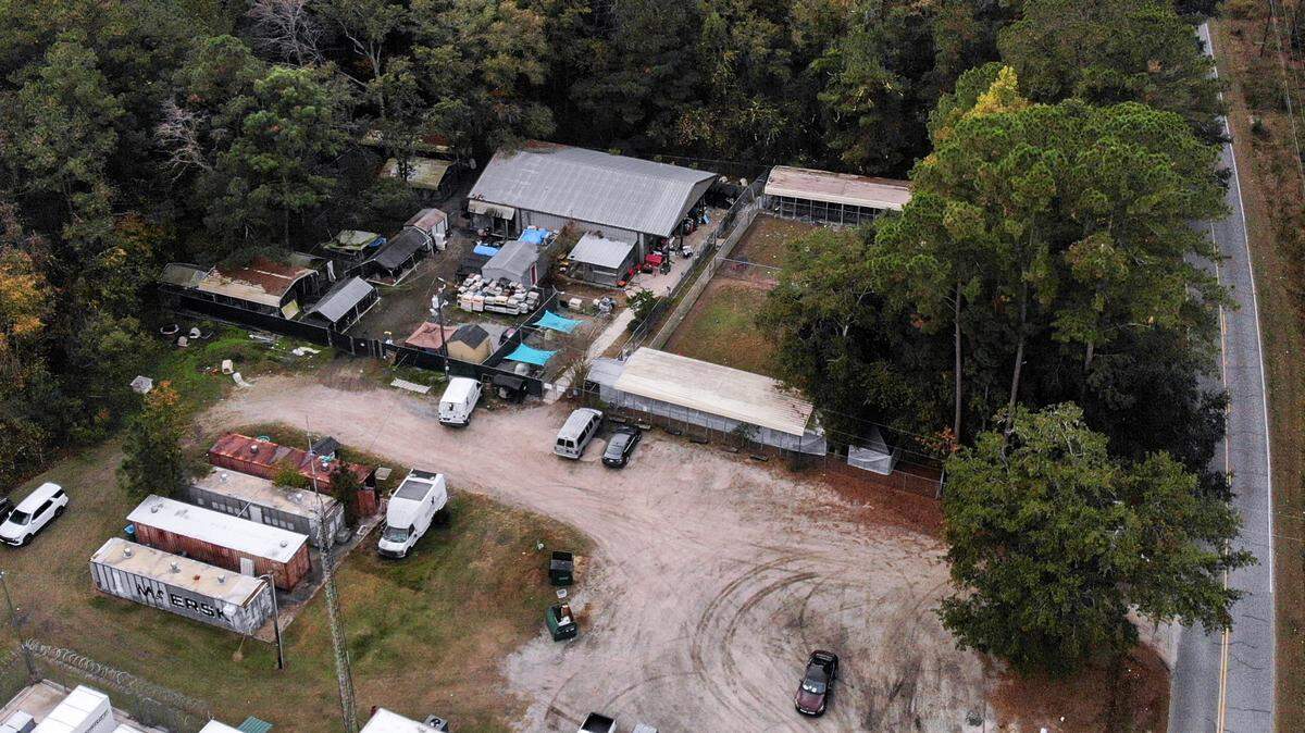 A drone photo shows the Jasper Animal Rescue Mission located along Carters Mill Road on Monday, Nov. 13, 2023 that shares a parking lot with the Jasper County Law Enforcement Center in Ridgeland, S.C. The center building is used to primarily house domesticated cats and the surrounding areas are comprised of side-by-side metal cages that house dogs.