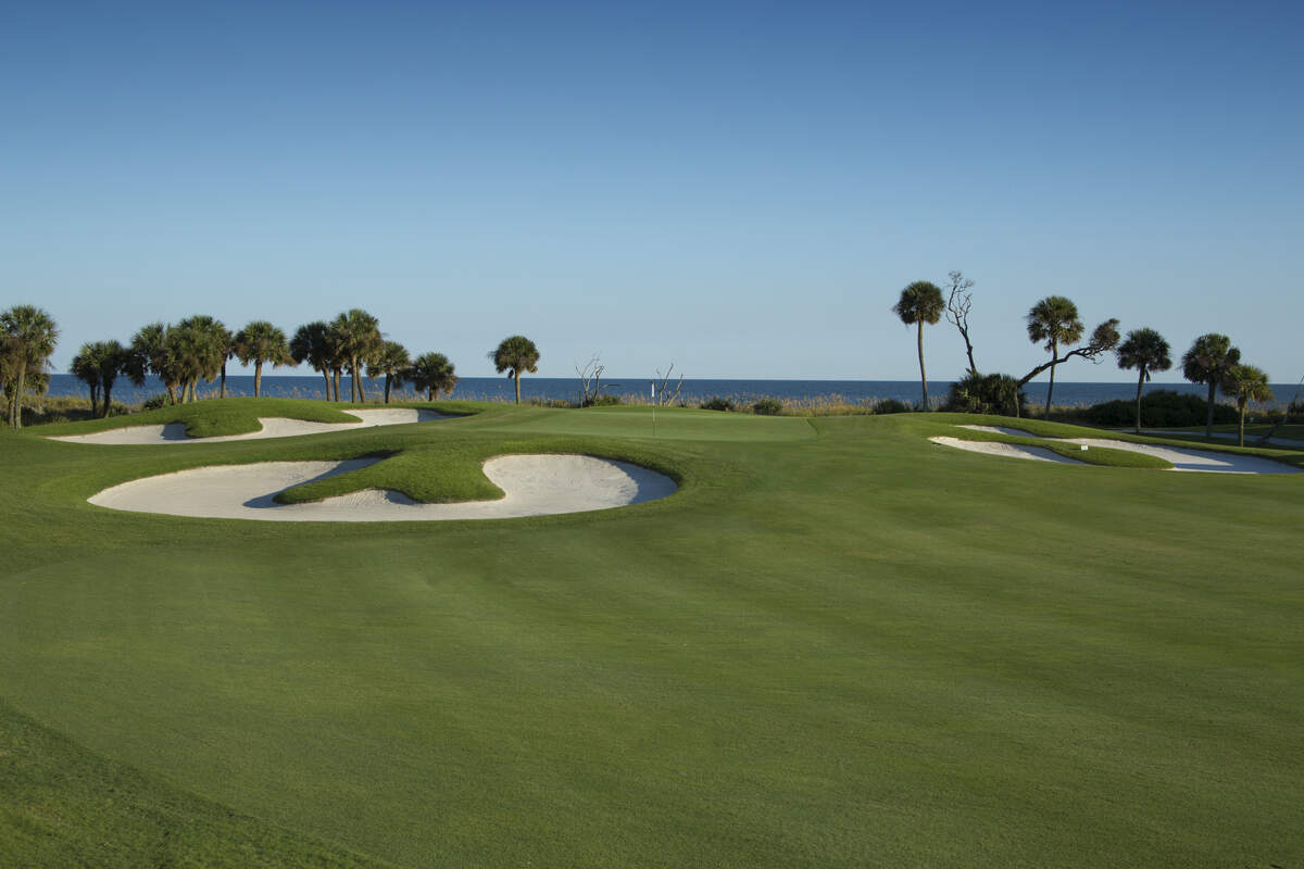 Palmetto Dunes