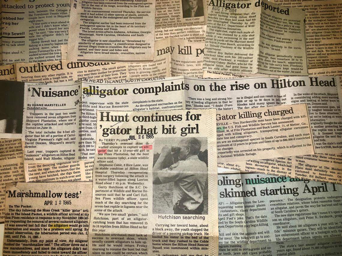 Alligators have made headlines for decades in the Island Packet and Beaufort Gazette newspapers.