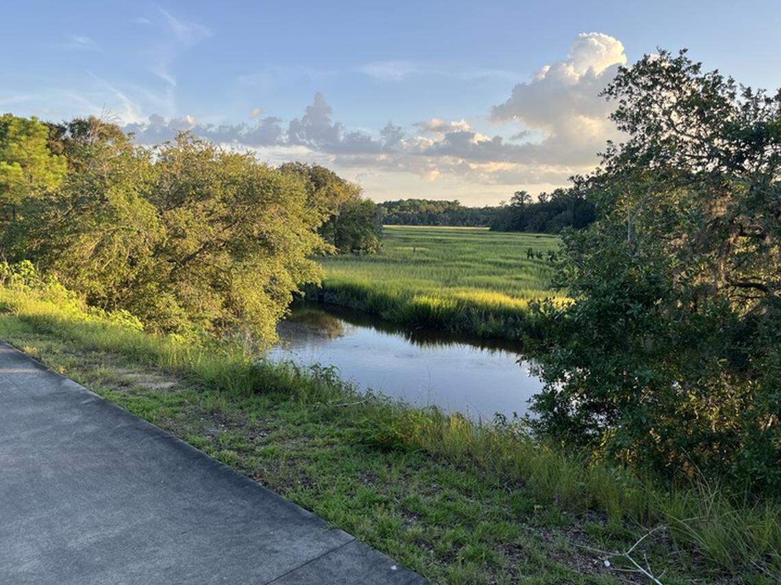 Views from the Spanish Moss Trail can be spectacular like this one of the marsh near Albergotti Creek.